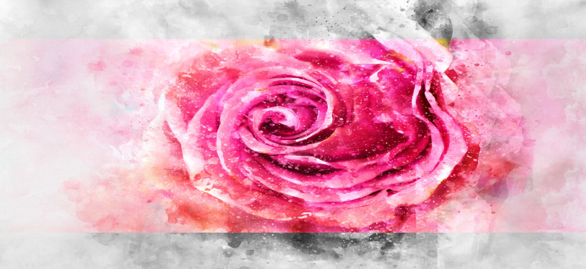 perfect_headimg perfect_int2-446x272