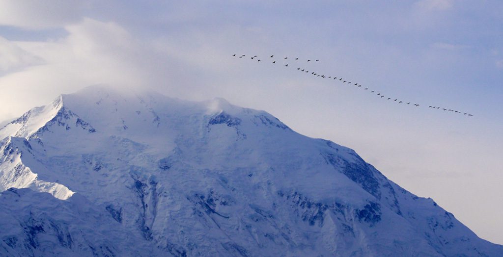 Application Migration