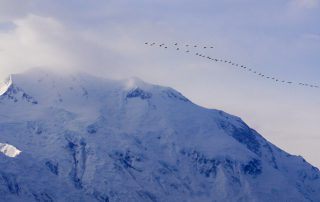 Application Migration