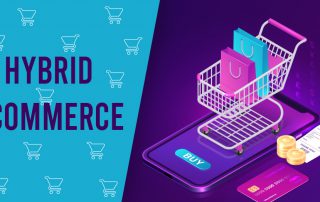 Hybrid eCommerce- A new trend in the eCommerce industry