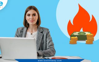 Reasons Why Software Projects Burn Cash