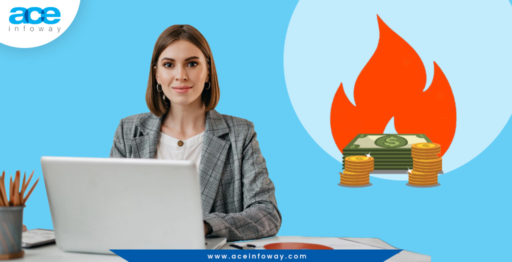Reasons Why Software Projects Burn Cash