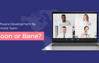 Remote Team Software Development