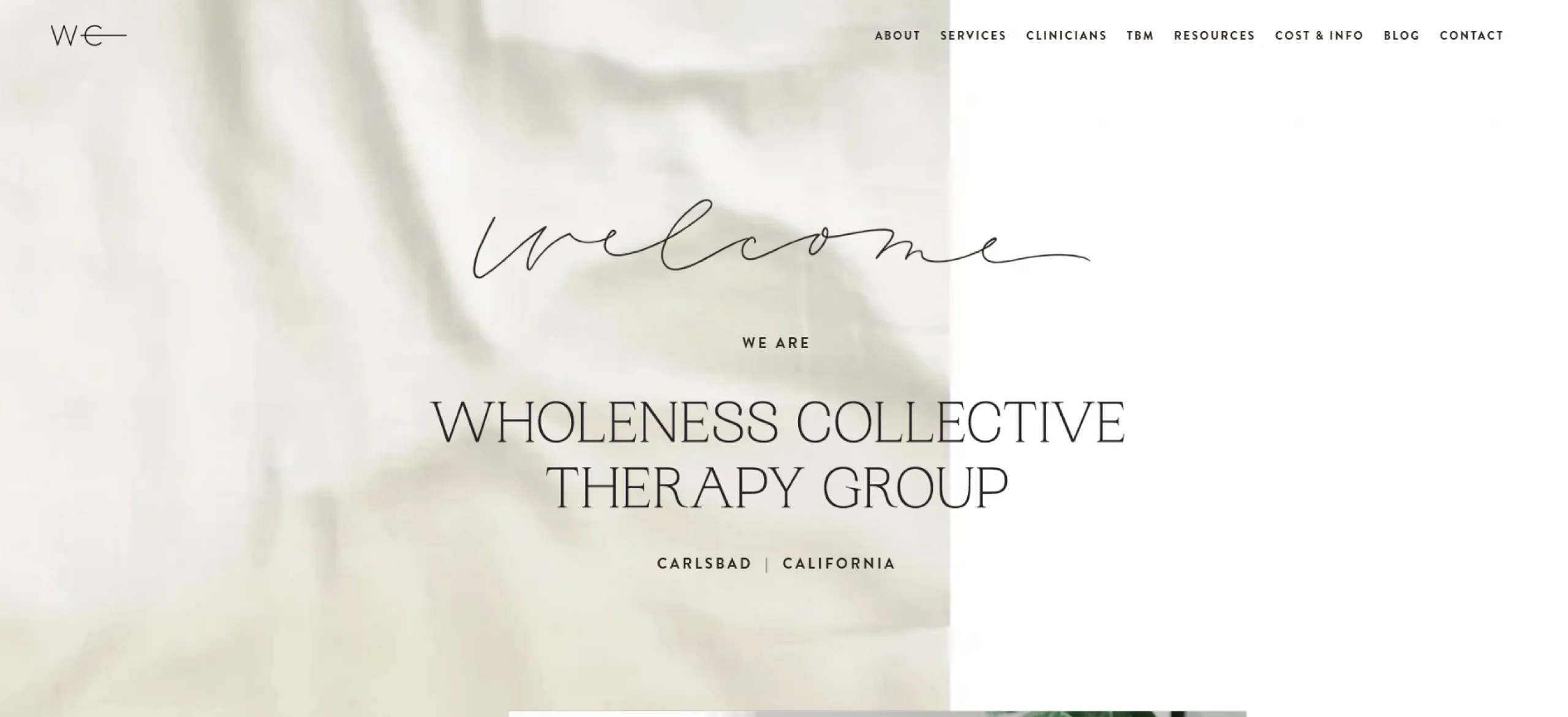 Wholeness Collective hero section with minimal and elegant website design
