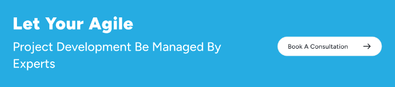 Looking for professional software development services for business growth