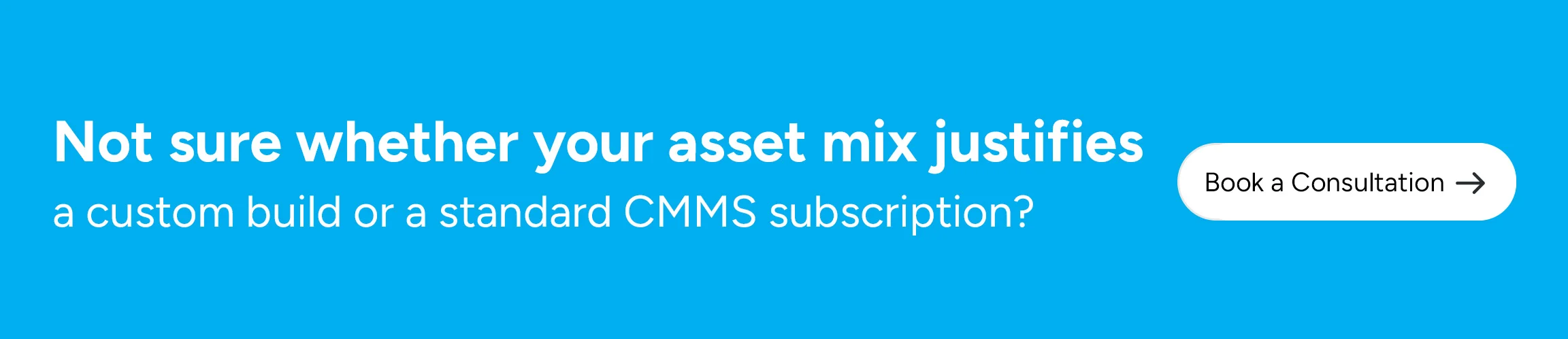 comparing custom-built maintenance platforms and off-the-shelf CMMS solutions for industrial asset management.