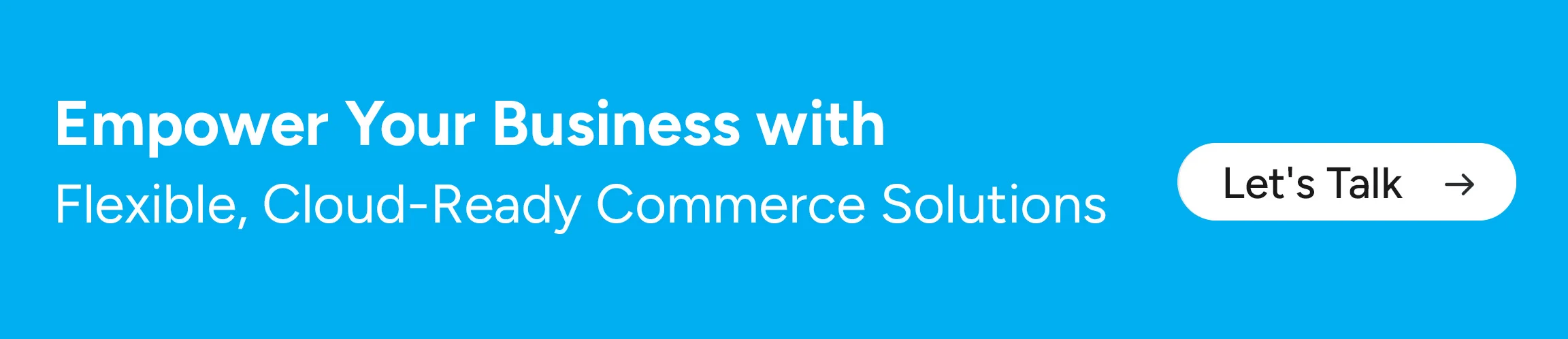 Empower Your Business with Flexible, Cloud-Ready Commerce Solutions 