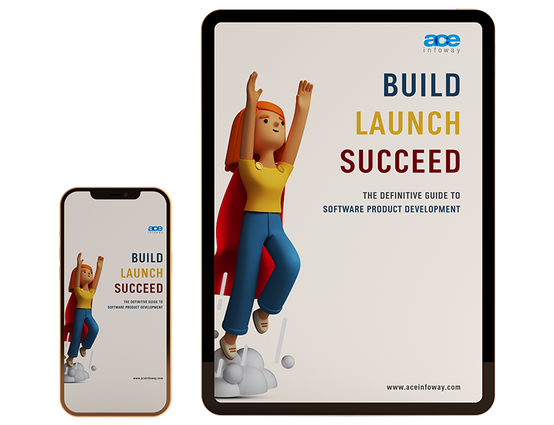 Build, Launch, Succeed - The Definitive Guide to Software Product Development by Experts