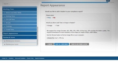 Web SaaS Tool for FLSA for Audit Process