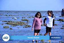 Narara Island