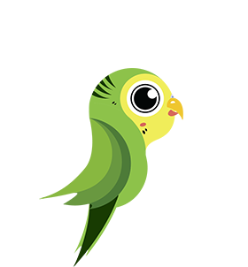 Popin Budgie